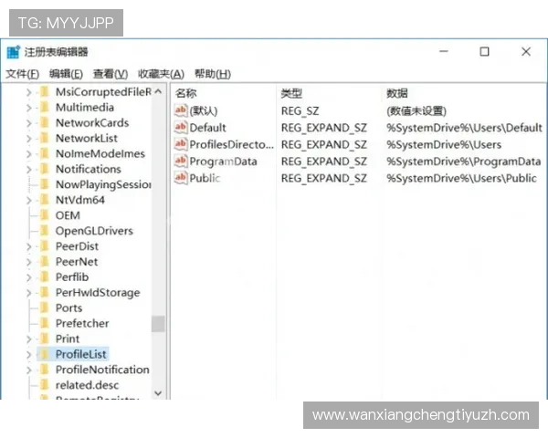 全面解析KY体育登录流程与常见问题解决方案指南