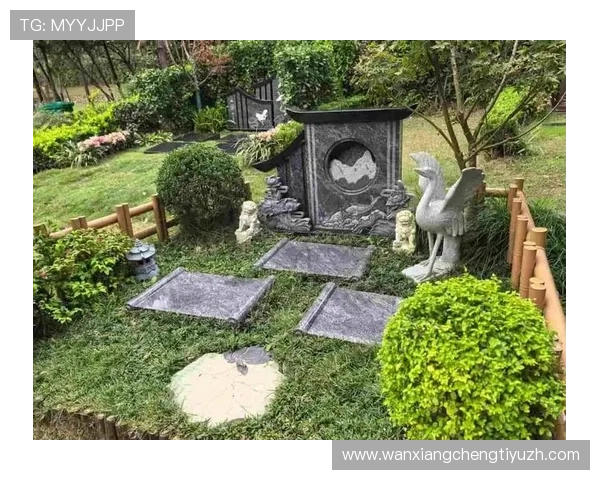 乐鱼官网地址导航指南，帮助新用户快速找到官方入口进行注册登录